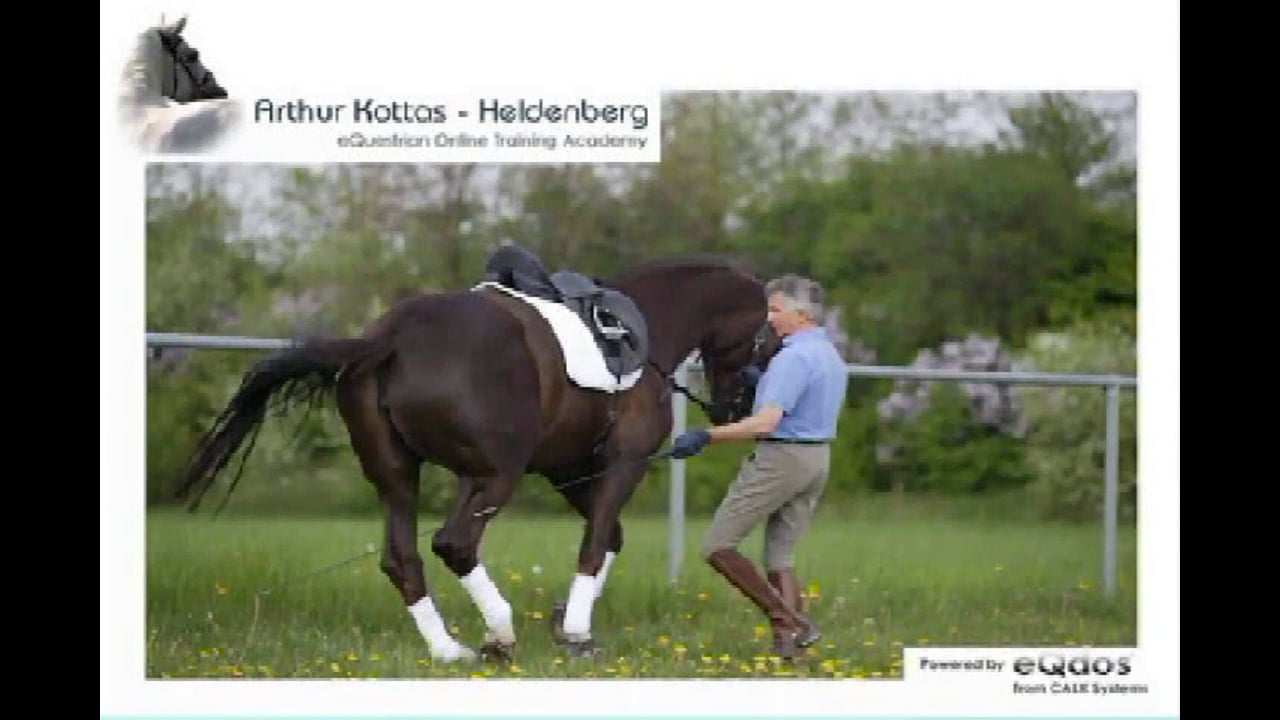 Improving the Piaffe and Passage In-Hand | Arthur Kottas-Heldenberg | PART 01