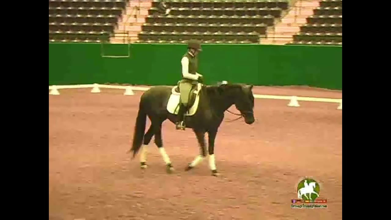How the Horse Thinks & Understanding His Mental Zones | Jan Brink | PART 03