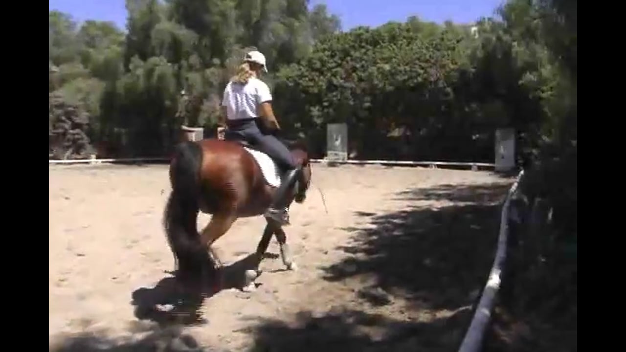 Improving Your Turns For Show Jumping - Part 3
