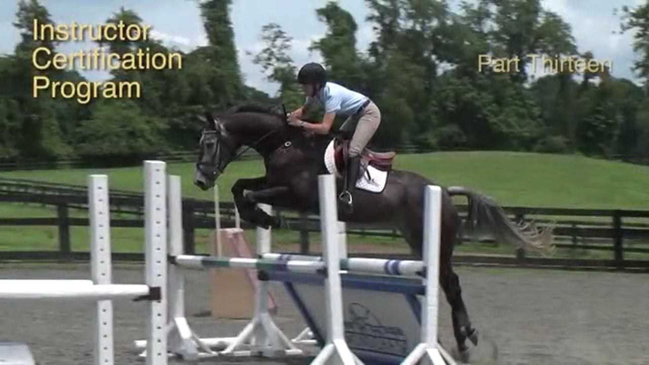 Insight into how the horse thinks and understanding his mental zones - Jan Brink