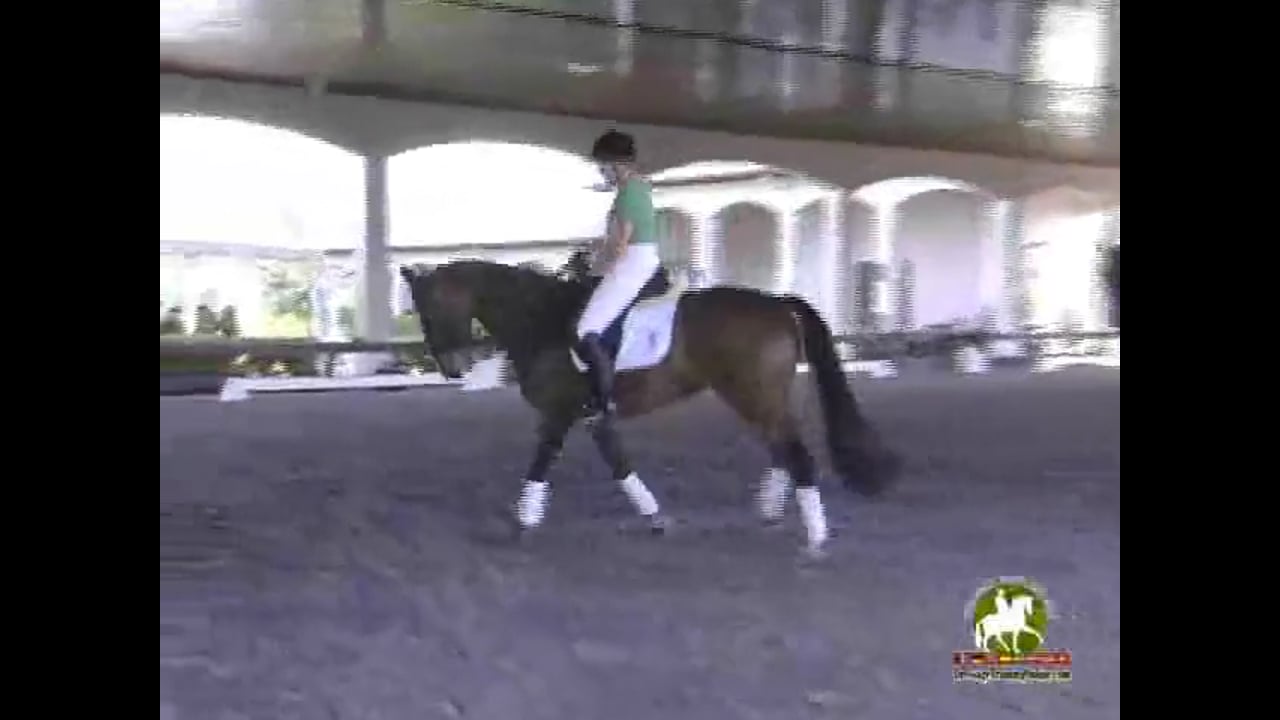 Quality of Gaits/Transitions for Piaffe & Passage | Courtney King-Dye | PART 02