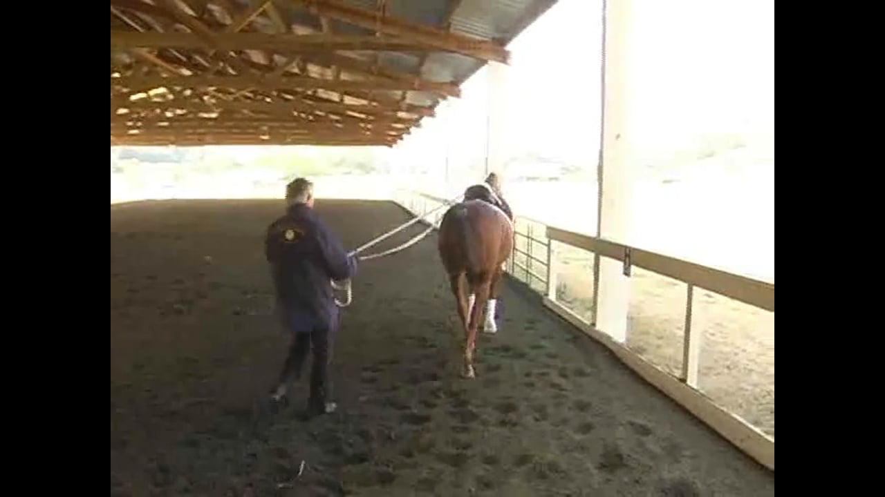 Improving The Jumping Technique Of The Horse | Boyd Martin | PART 04