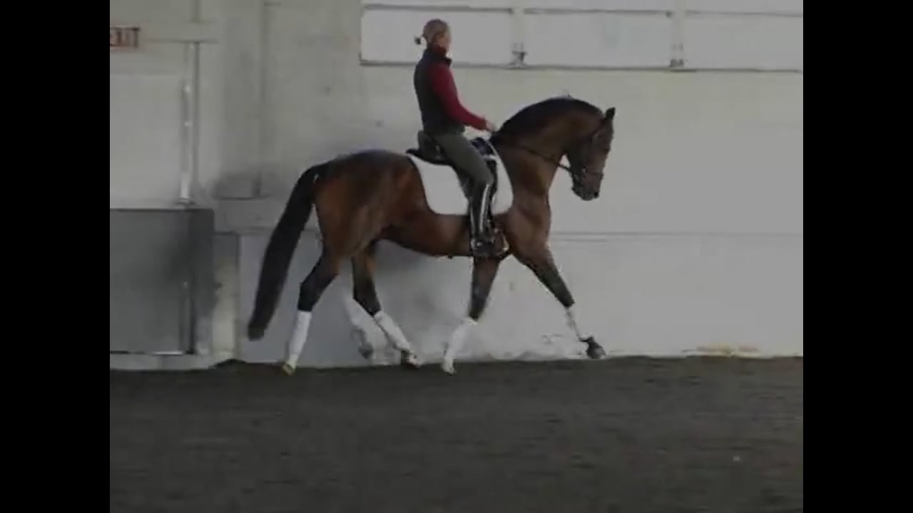 Hot Horse: Improve Pirouettes, Half Pass & Changes | Catherine Haddad | PART 02