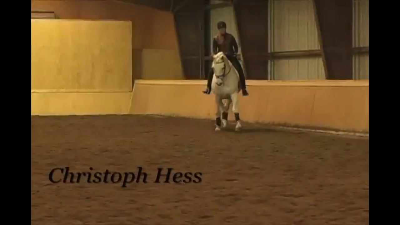 Inside Leg to Outside Rein | Christoph Hess | PART 06