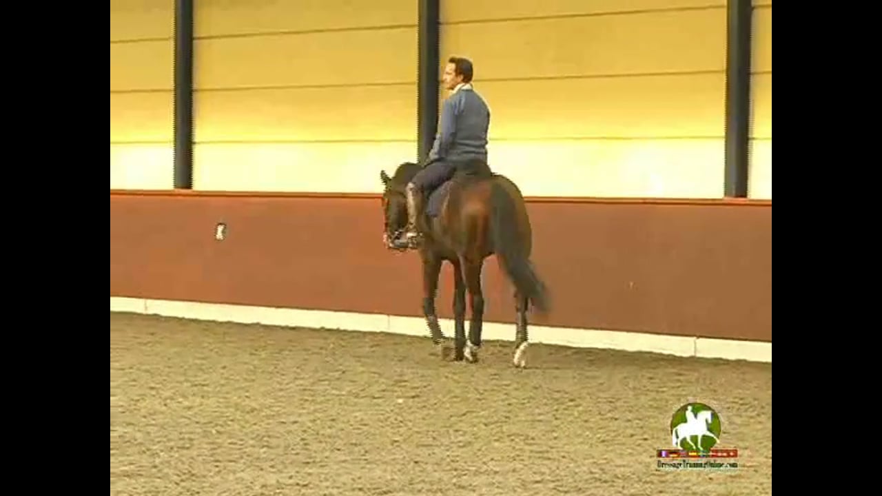 Introduction of Group 1 | Buck Davidson