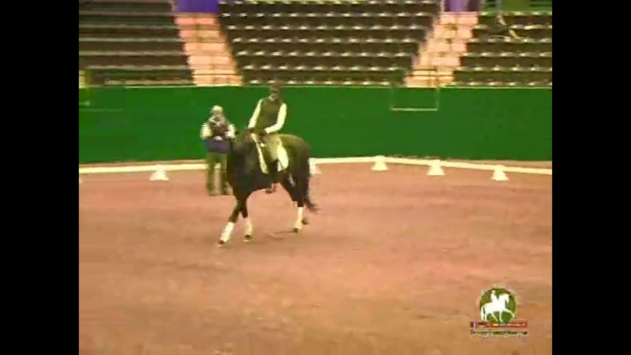 How the Horse Thinks & Understanding His Mental Zones | Jan Brink | PART 02