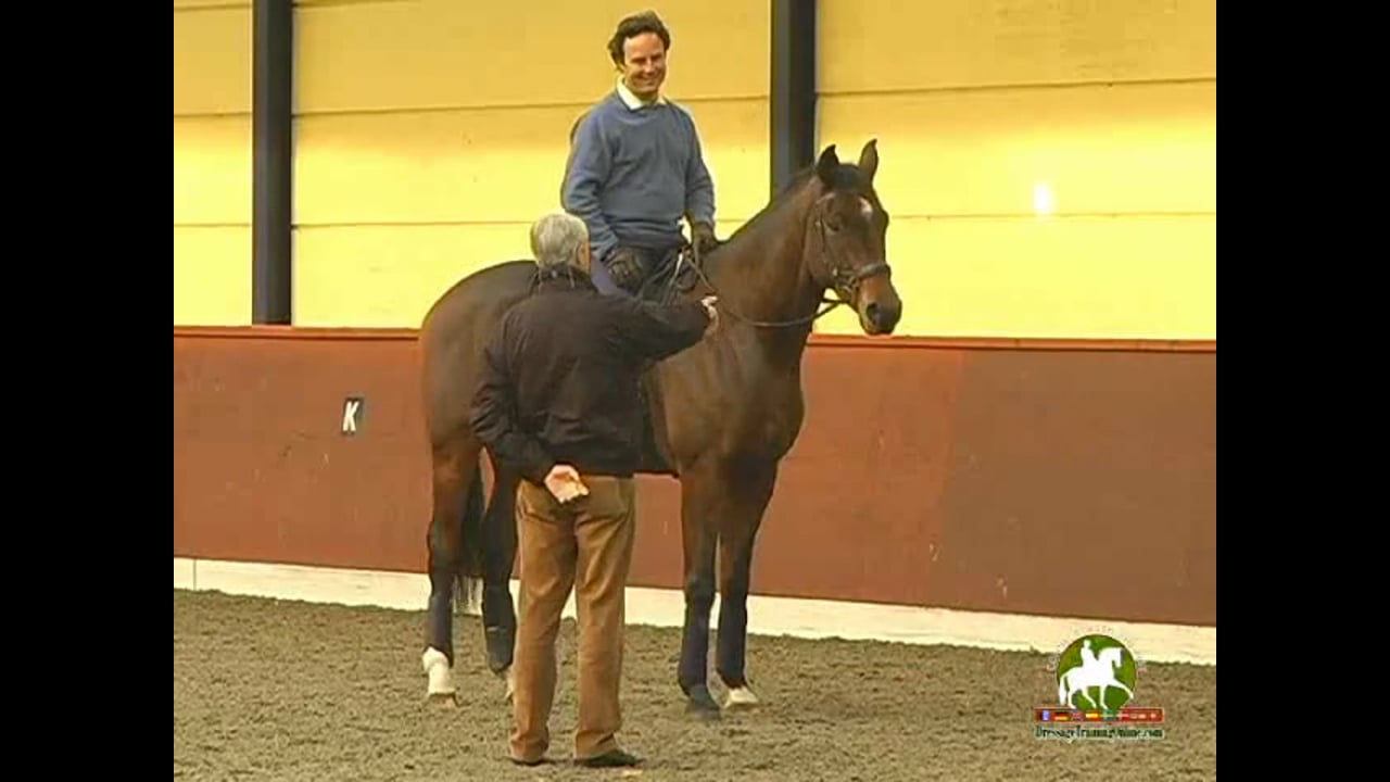 Introducing the horse to a new atmosphere and test riding with Chrissa Hoffmann