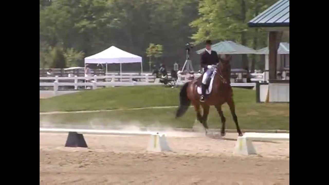 Working on Collection and Canter Pirouettes | Jan Brink | PART 01