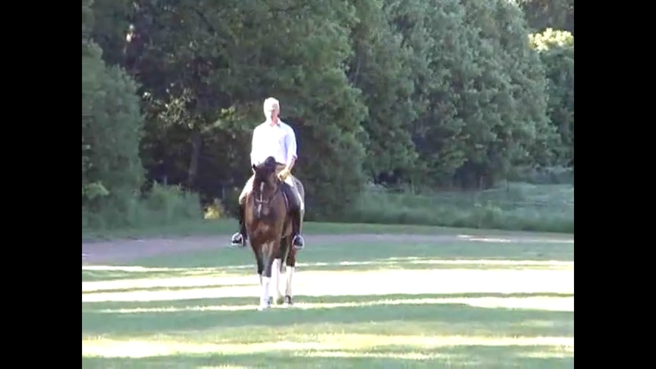 Jan Bemelmans - Rhythm in Passage, Part 2