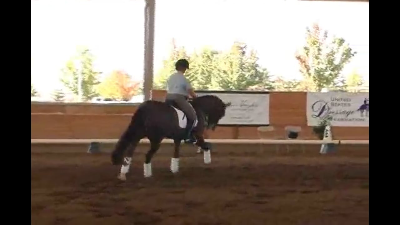 Improve the Quality of the Gaits & Get a Better Frame | Jan Brink | PART 02