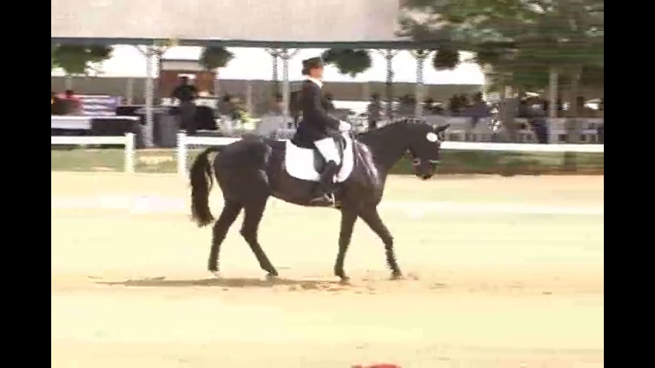 Jan Brink: Transition Work for Young Horses, Part 3