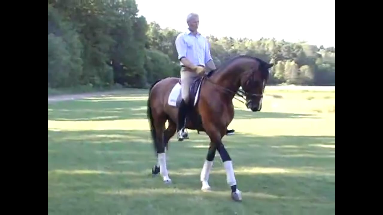 Jan Bemelmans - Rhythm in Passage, Part 1