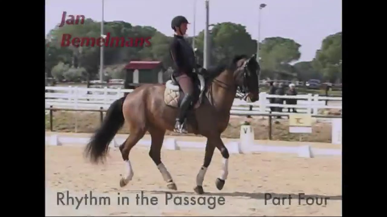 Rhythm in the Passage | Jan Bemelmans | PART 04