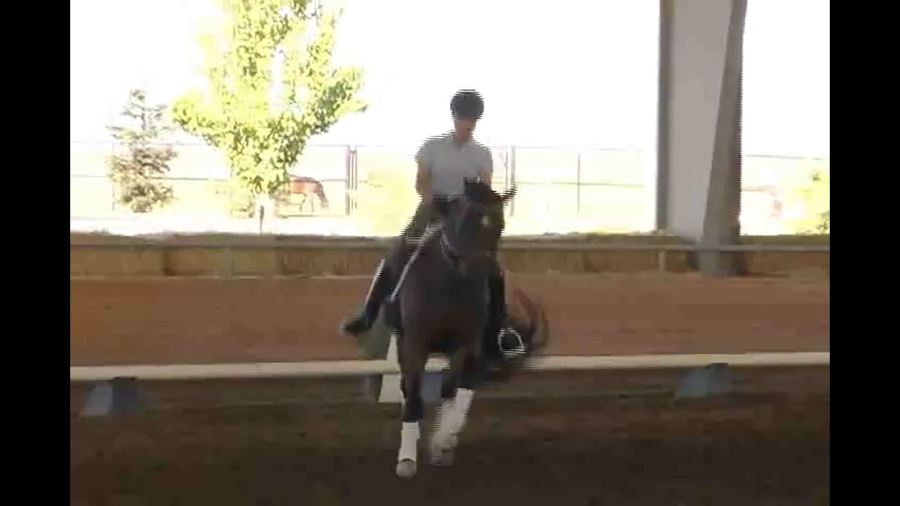 Rhythm in the Passage | Jan Bemelmans | PART 03