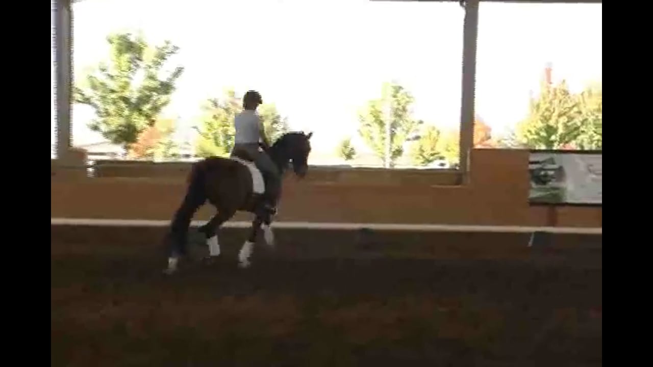 Rhythm in the Passage | Jan Bemelmans | PART 04