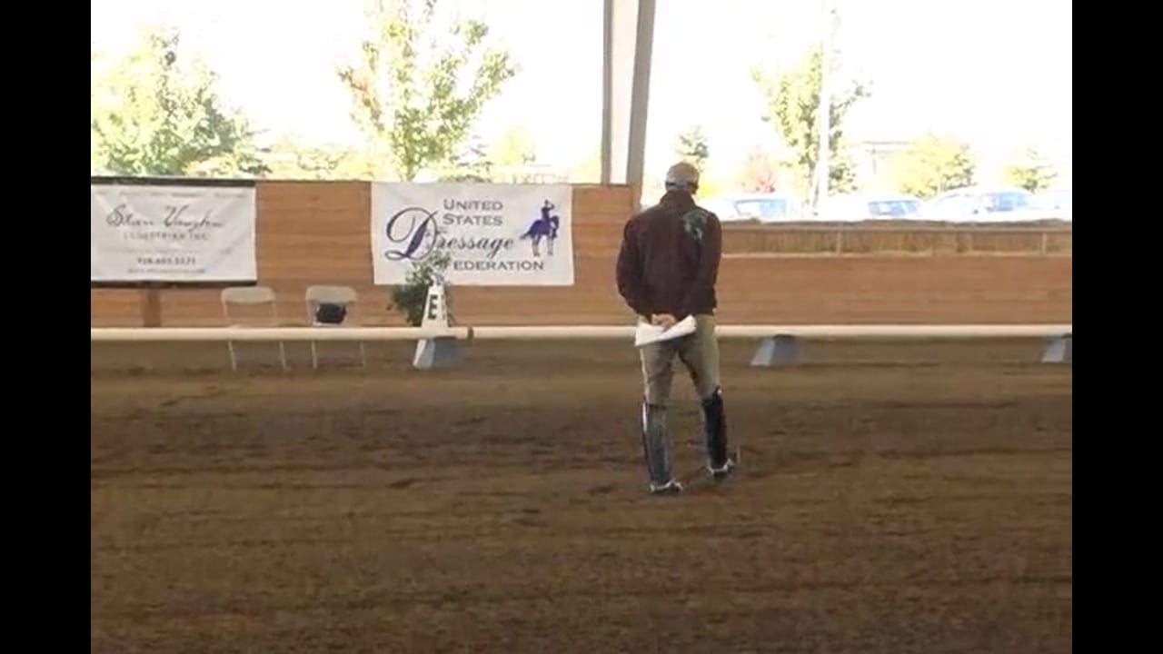 Improve the Quality of the Gaits & Get a Better Frame | Jan Brink | PART 03