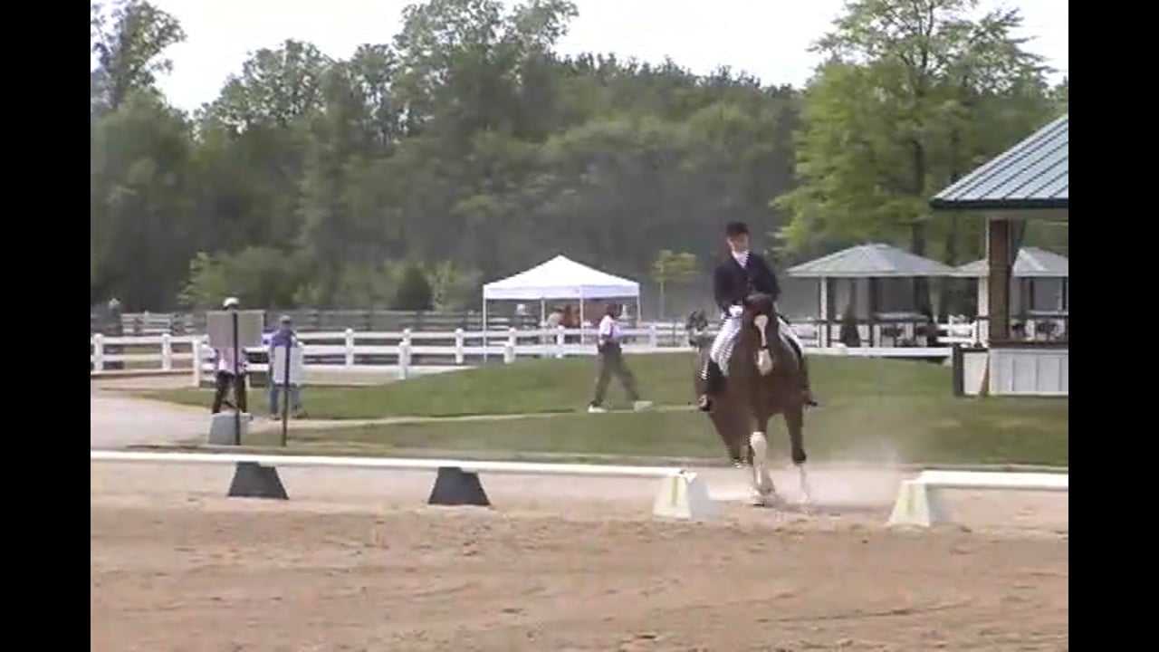 Jan Brink: Transition Work for Young Horses, Part 2