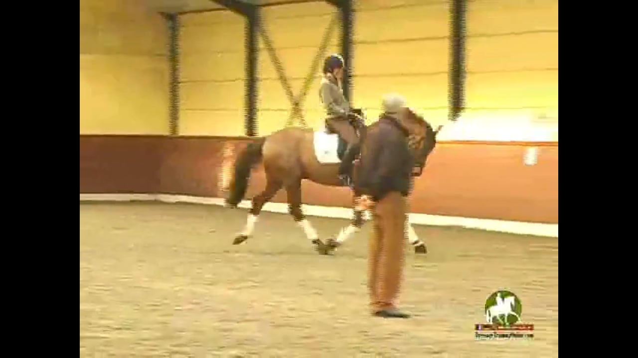Jan Bemelmans - Grand Prix Movements - Part 1