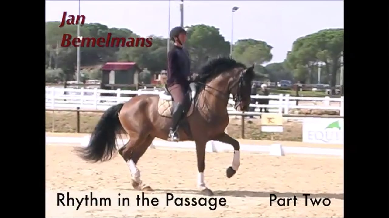 Rhythm in the Passage | Jan Bemelmans | PART 02