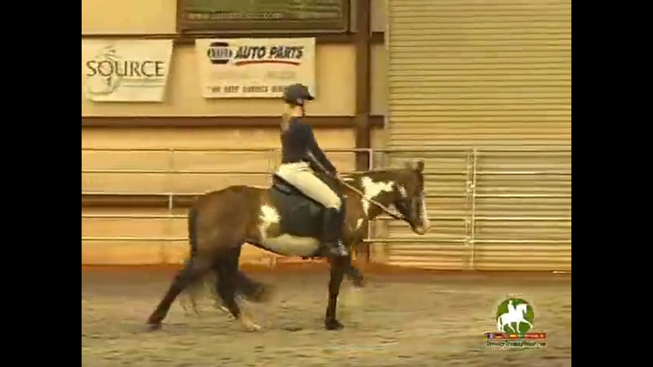 Jean Bemelmans works on schooling of all movements and the Grand Prix test Part