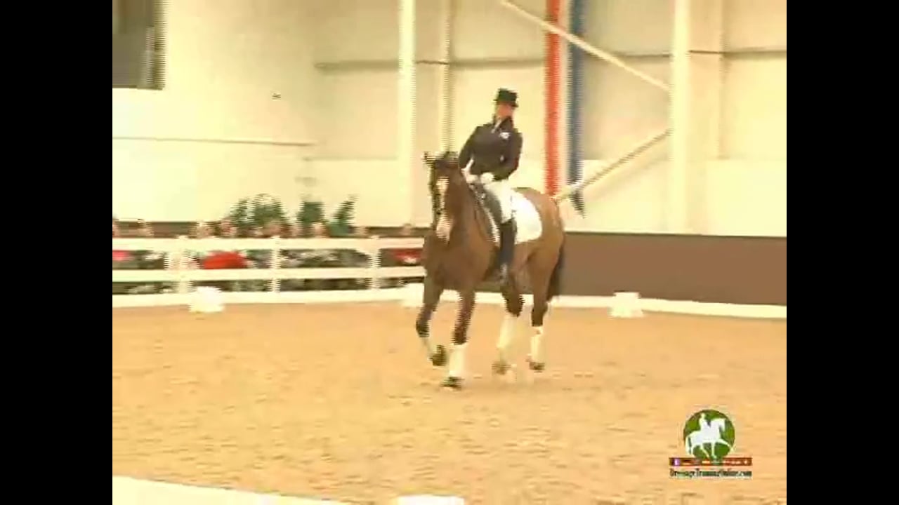 Janet Foy, Intermediare II/Grand Prix/S Test riding and improvement Part 6