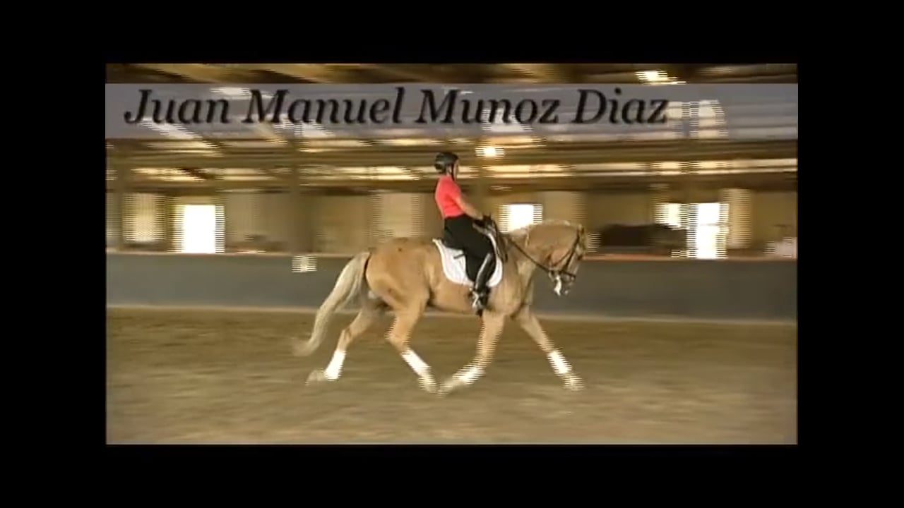 Flexibility | Juan Manuel Munoz Diaz | PART 02