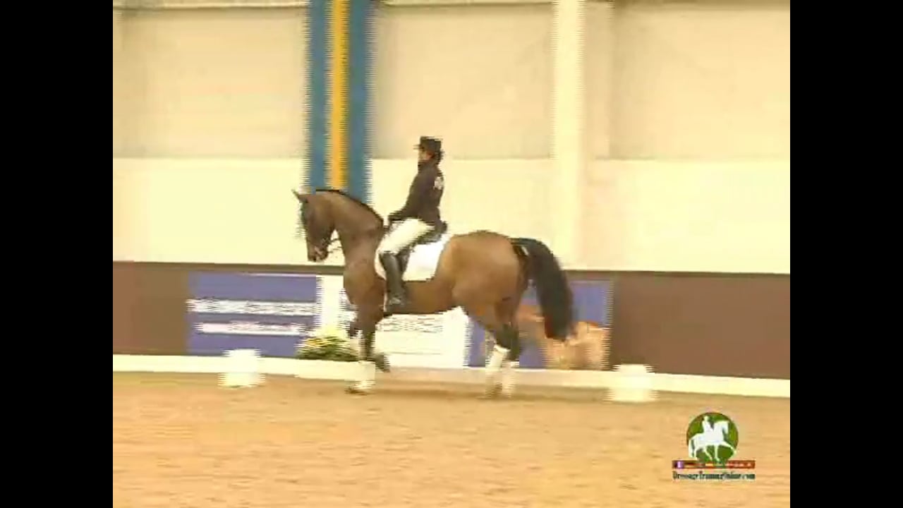 Prix St. Georges s/S Riding Through the Test & Improvement | Janet Foy | PART 01