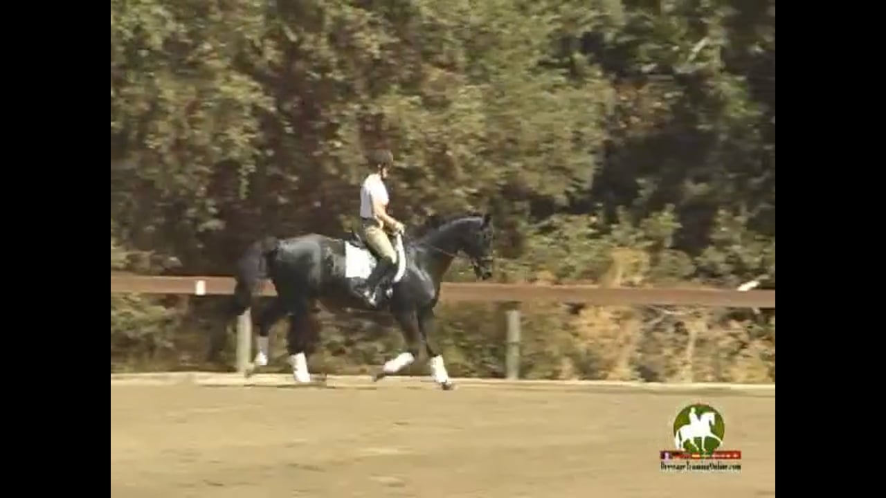 Schooling of All Movements & Grand Prix Test | Jean Bemelmans | PART 02
