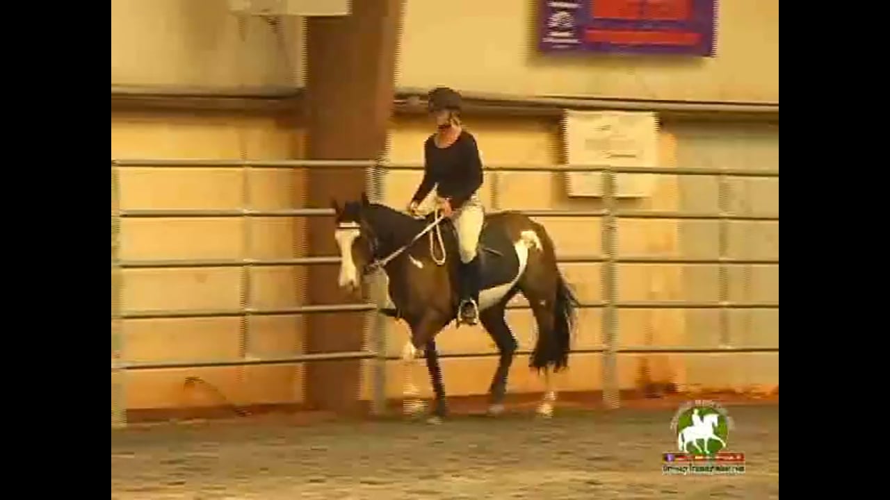 Judging Intermediare I, I1 with Movement Scores and Commentary | Jennifer Roth