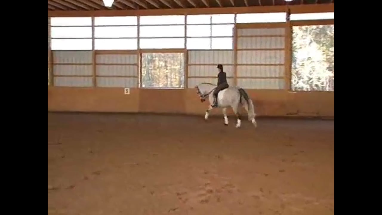 Intermediare II/Grand Prix/S Test riding and improvement | Janet Foy | PART 01