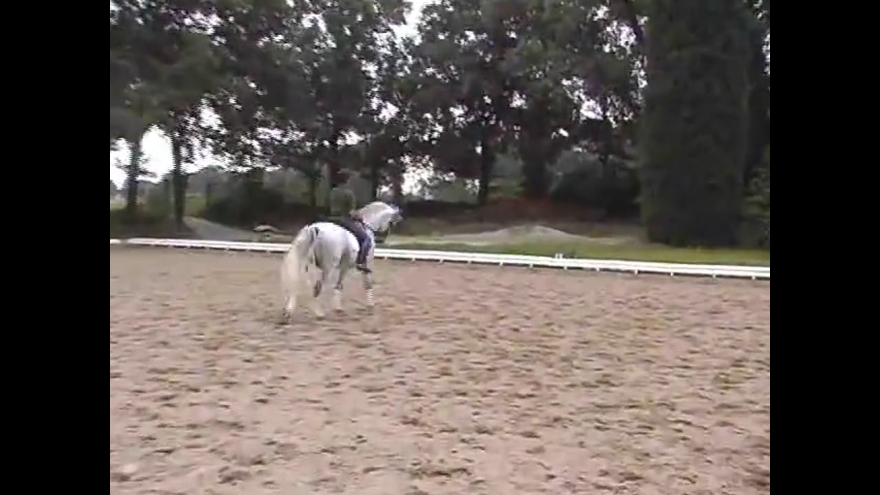 Improving All the PSG Moves. Day 2, KBIS Convention | Jean Bemelmans | PART 02