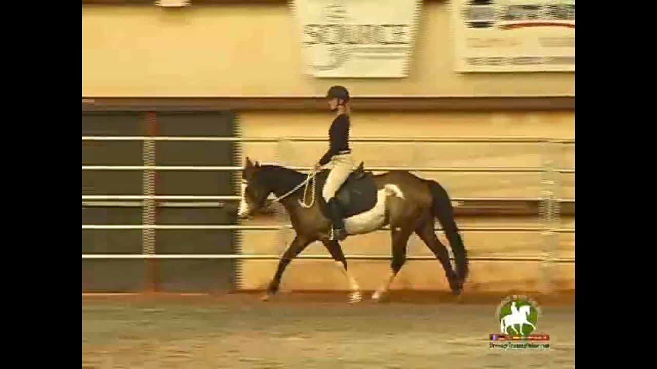 Jean riding Fuego focusing on active relaxation.