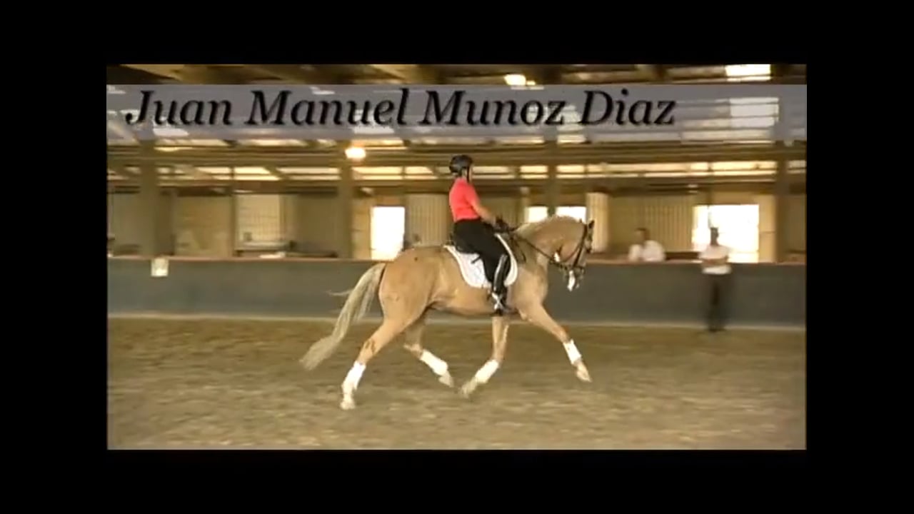 Flexibility | Juan Manuel Munoz Diaz | PART 03