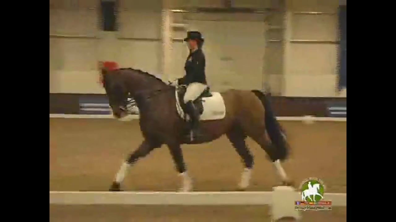 Prix St. Georges s/S Riding Through the Test & Improvement | Janet Foy | PART 03