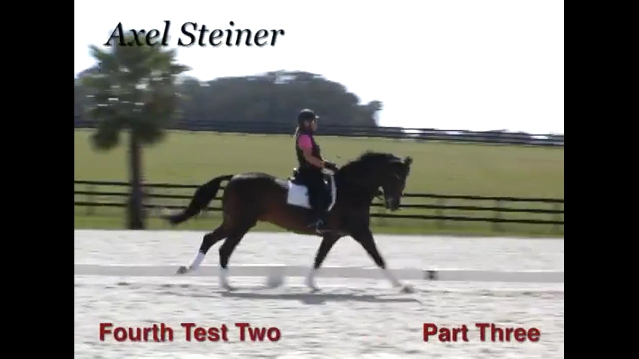 Fourth Level, Test 2 | Axel Steiner | PART 03