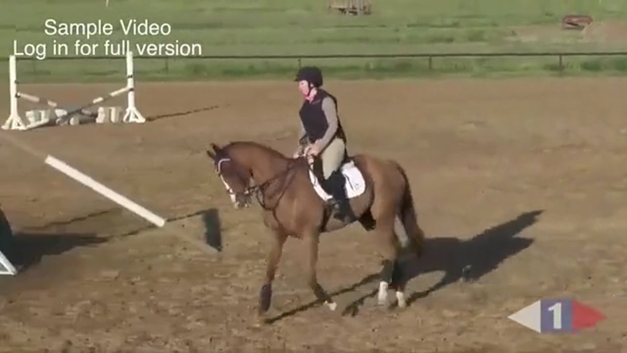 Jumping Exercises To Improve The Riders Effectiveness | Mary King | TRAILER 01