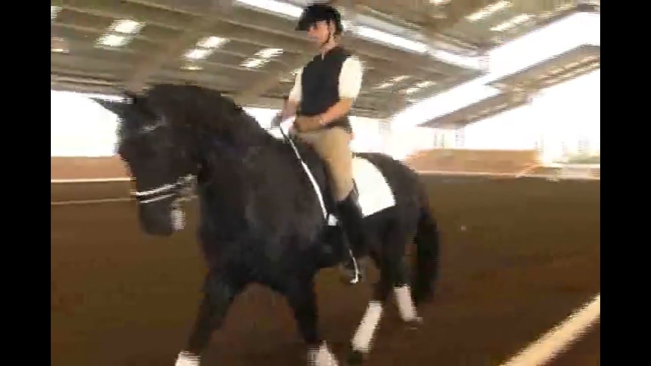 Using the leg to to improve contact in the hand | Jan Bemelmans | PART 02