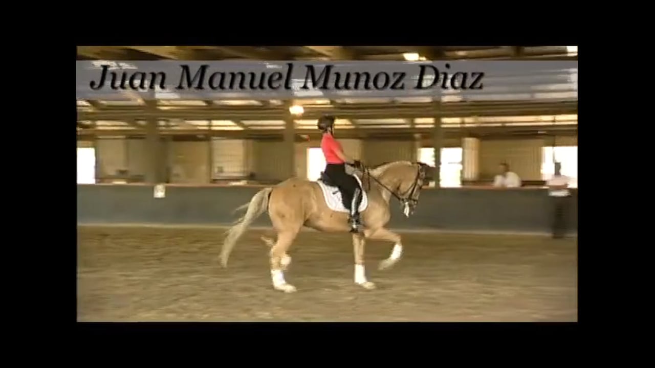 Flexibility | Juan Manuel Munoz Diaz | PART 04