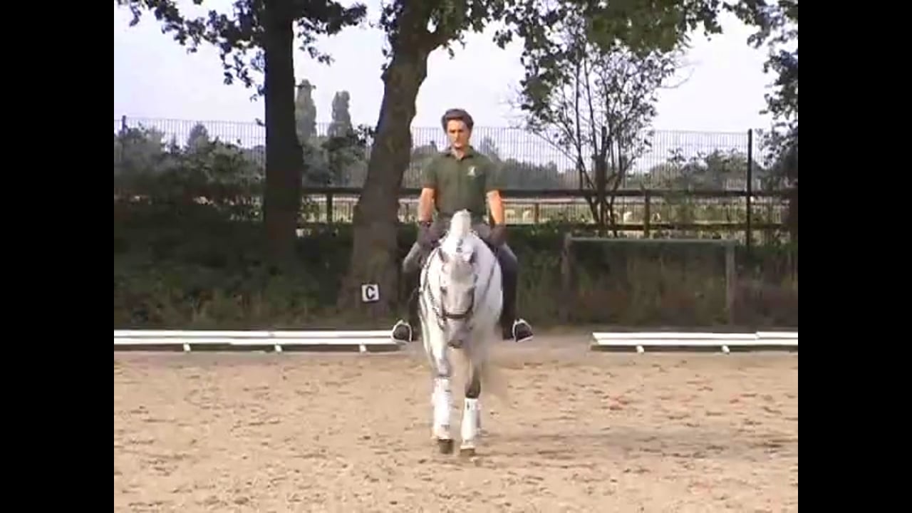 Improving All the PSG Moves. Day 2, KBIS Convention | Jean Bemelmans | PART 03