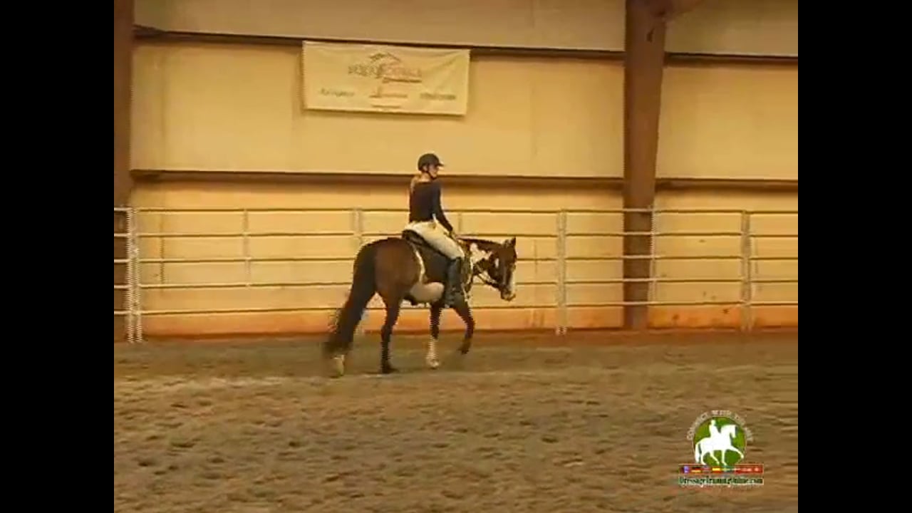 Training Level Test 4 | Jennifer Roth