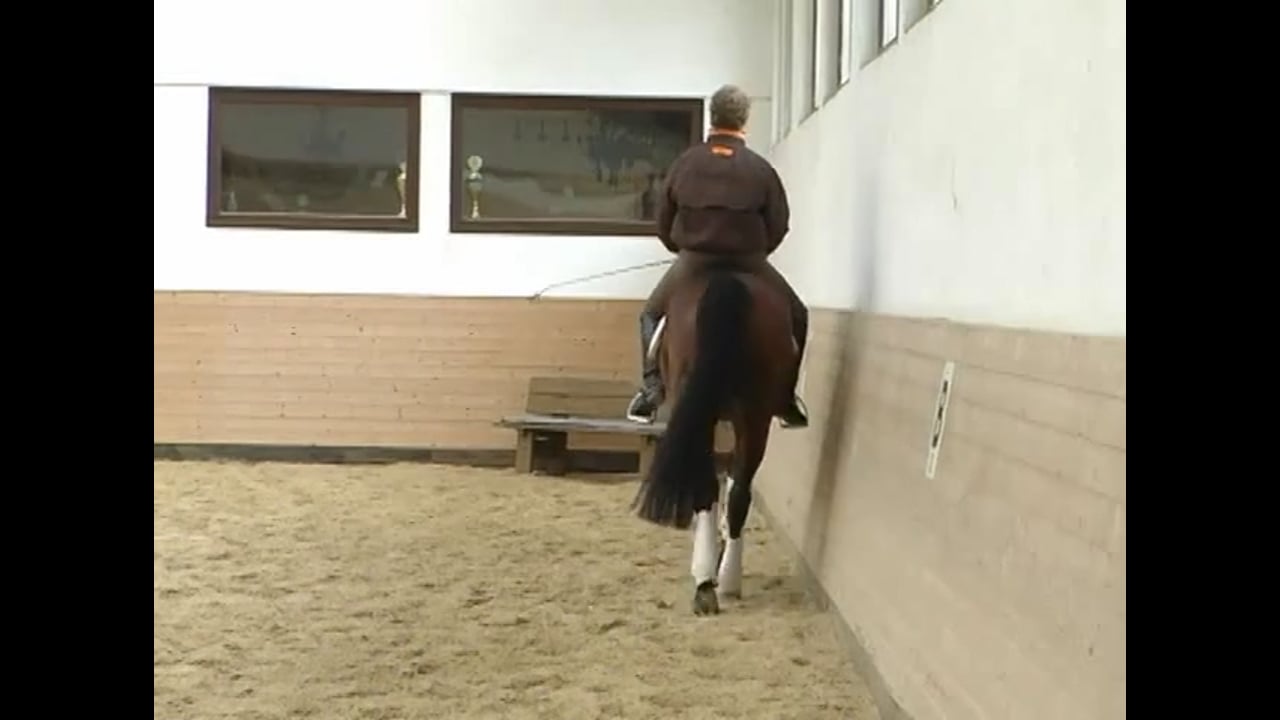 Basics: Softness in the Hand Moving Over the Back | Katrin Bettenworth | PART 02