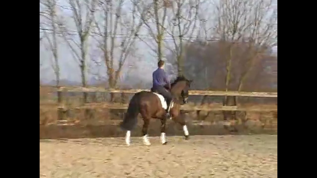 Katrin Bettenworth - Basics and getting softness in the hand and moving over the