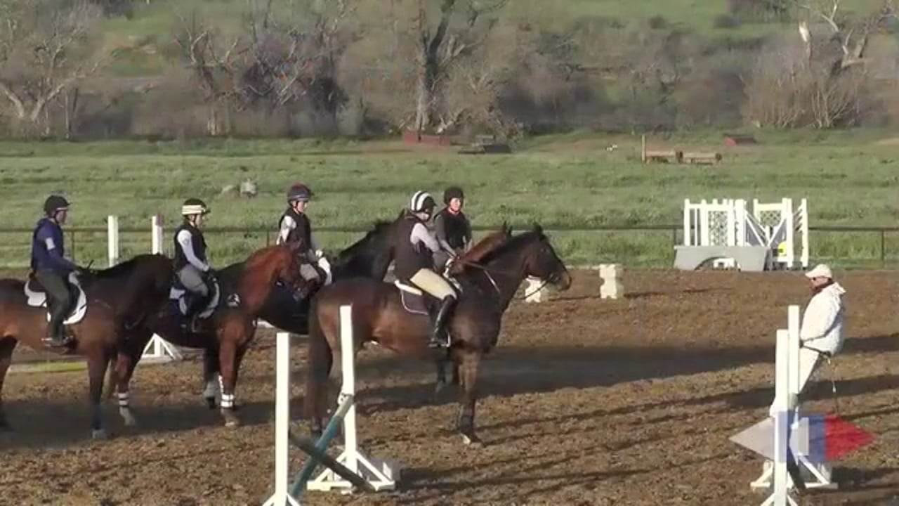 Jumper Flatwork After Days Off – Part 2