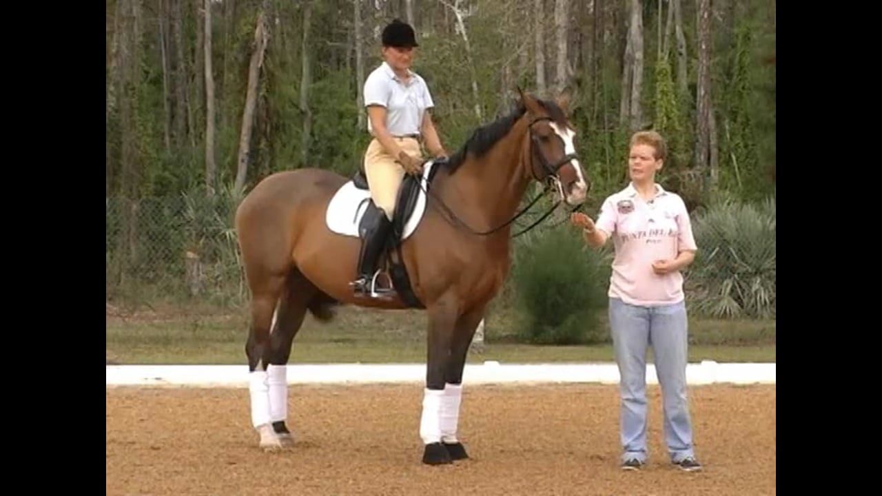 Karen O’Connor – Modified Jumping Drops and Banks