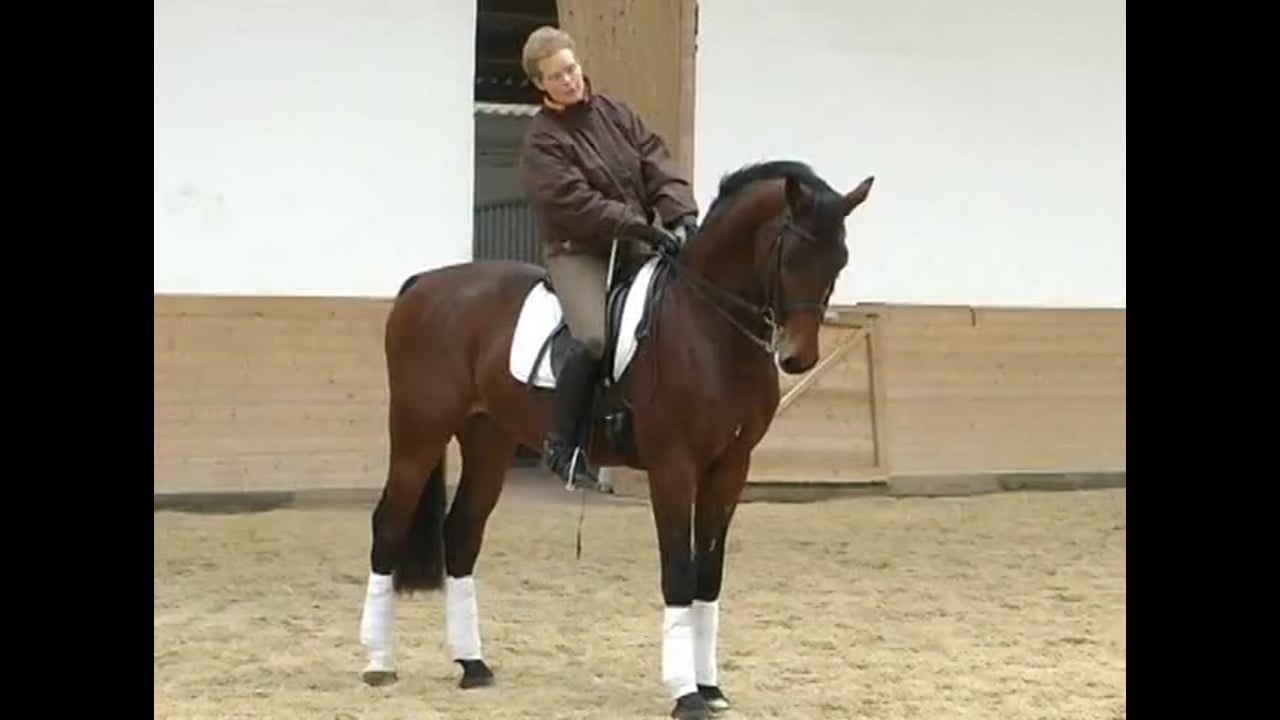 Basics: Softness in the Hand Moving Over the Back | Katrin Bettenworth | PART 01