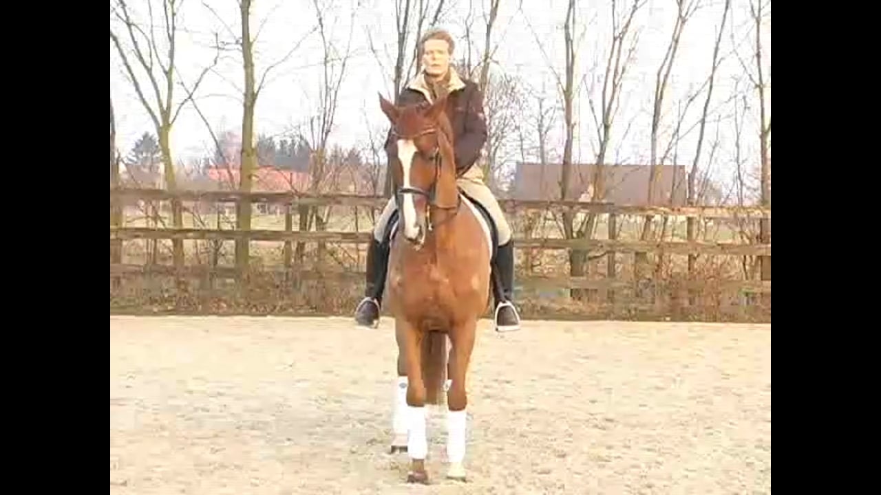 Developing More Carrying Power | Katrin Bettenworth | PART 01