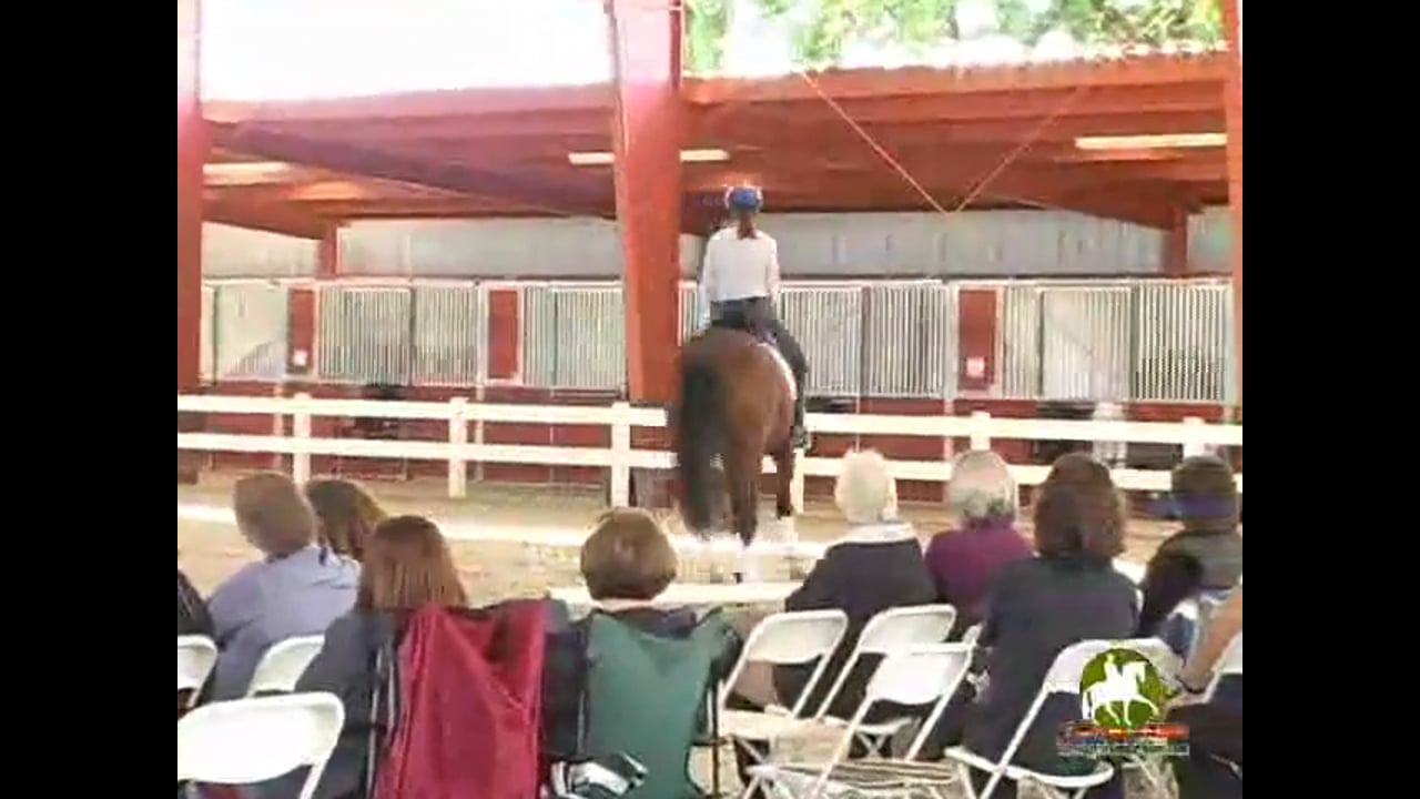 Keeping the Horse Active Behind, Tempo Changes | Henk van Bergen | PART 03