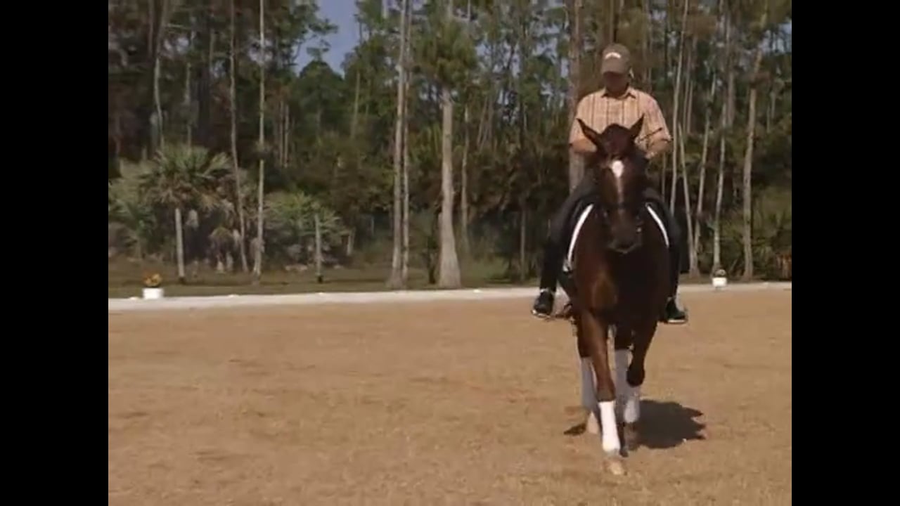 Katrin Bettenworth on schooling the transitions, tempi changes and piaffe and pa