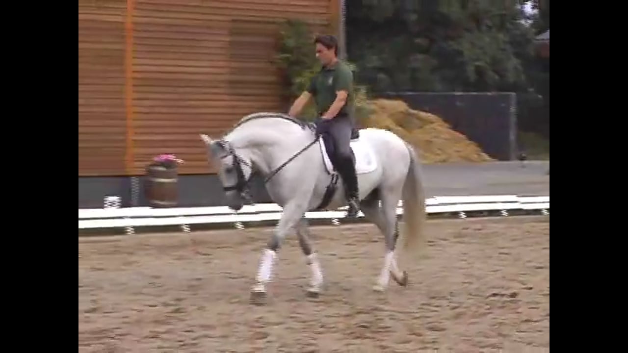 Improving All the PSG Moves. Day 2, KBIS Convention | Jean Bemelmans | PART 01