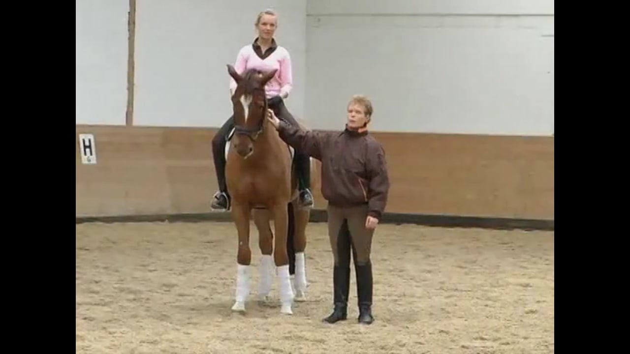 Junior Rider Third Level | Lars Petersen | PART 01